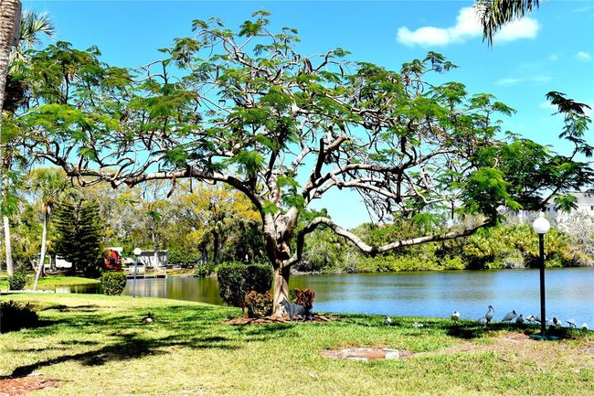 K327 - 3672 Lake Bayshore Dr, Condo with 2 bedrooms, 1 bathrooms and null parking in BRADENTON FL | Image 35