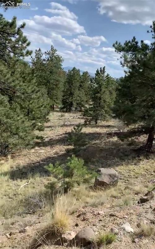 52 Bit Way, Hartsel, CO, 80449-8576 | Card Image