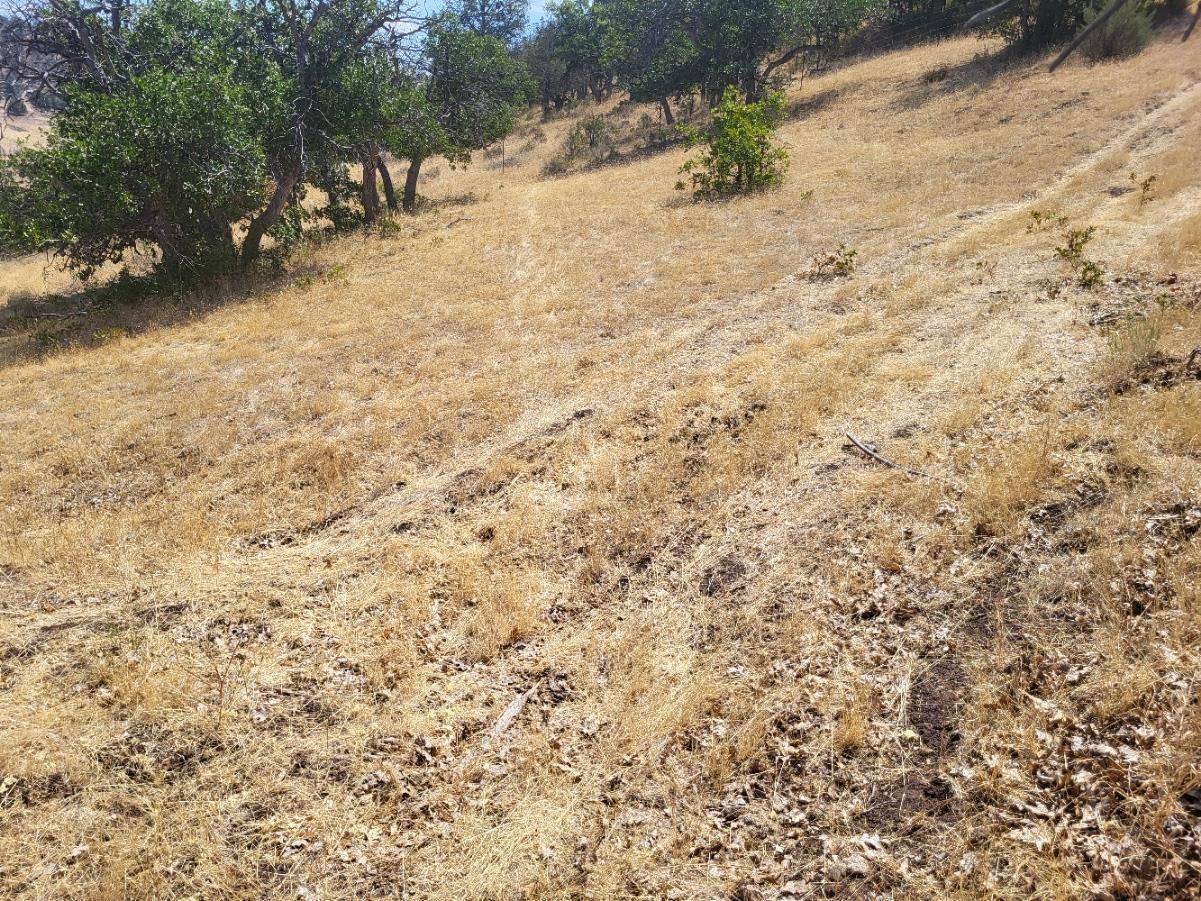 Land in Hornbrook 2