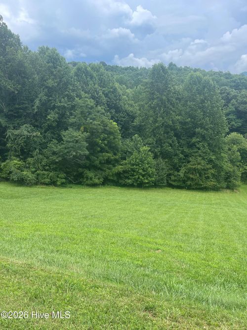 lot-22c-Lot 22c Ash Branch Cir, Hayesville, NC, 28904-4881 | Card Image