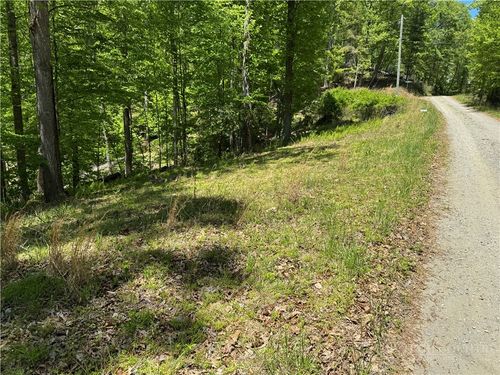 Lot 21 Happy Berry Drive, Grassy Creek, NC, 28631 | Card Image