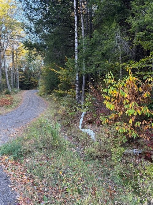 0 Northfield Rd, Warwick, MA, 01378 | Card Image