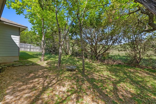 View of shady yard | Image 31