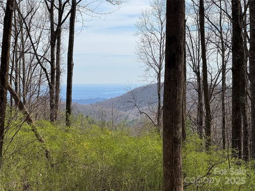 L8 S Black Bear Ct, Sapphire, NC, 28774 | Card Image