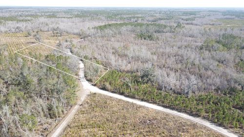 0 Se Brushy Hammock, Mayo, FL, 32066 | Card Image