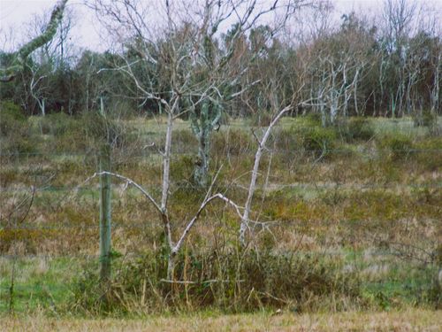 00 Fm 2004 Rd, Angleton, TX, 77515 | Card Image