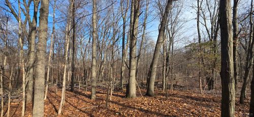 10000 BLK Sheeler Road, Cambridge Township, MI, 49265 | Card Image