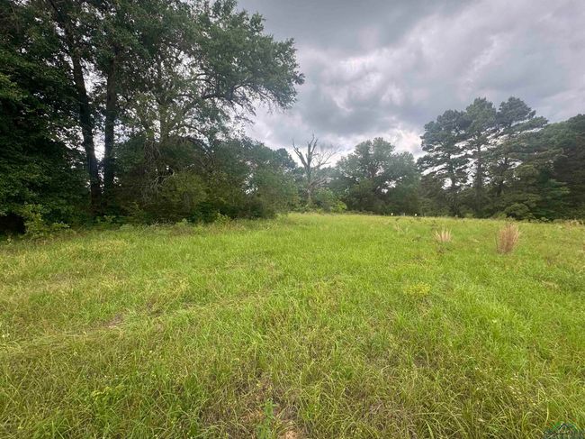 TBD 2174 Tbd 2174, Home with 0 bedrooms, 0 bathrooms and null parking in Tatum TX | Image 8