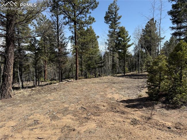 242 Apache Creek Dr, Home with 0 bedrooms, 0 bathrooms and null parking in FLORISSANT CO | Image 8