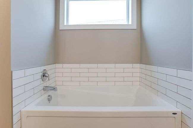 Separate tub (pic from a previous model).jpg | Image 13