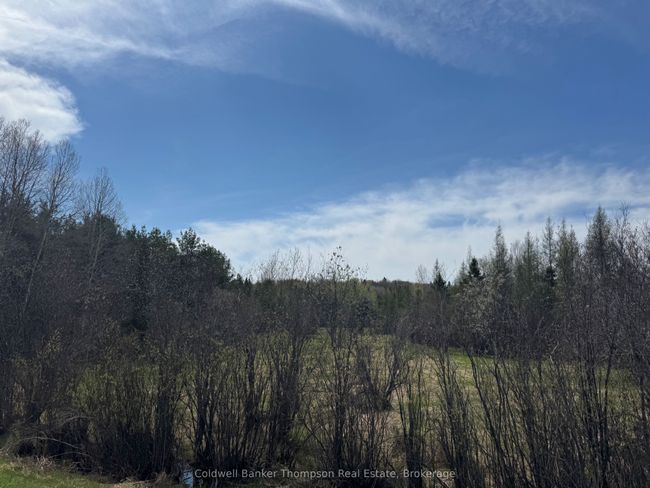 0 520 Highway Highway, House other with 0 bedrooms, 0 bathrooms and 6 parking in Ryerson ON | Image 5