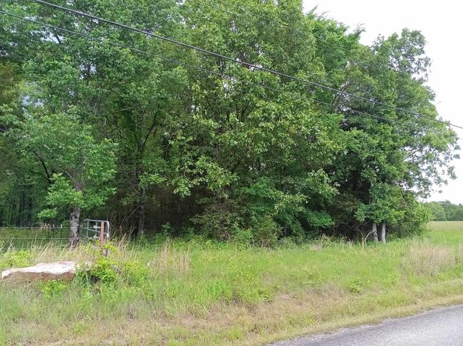 409 Russell Mountain Rd, Home with 0 bedrooms, 0 bathrooms and null parking in Bald Knob AR | Image 4
