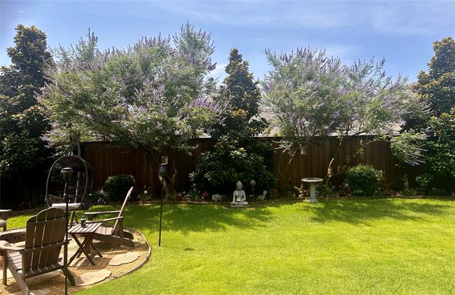 View of yard | Image 28