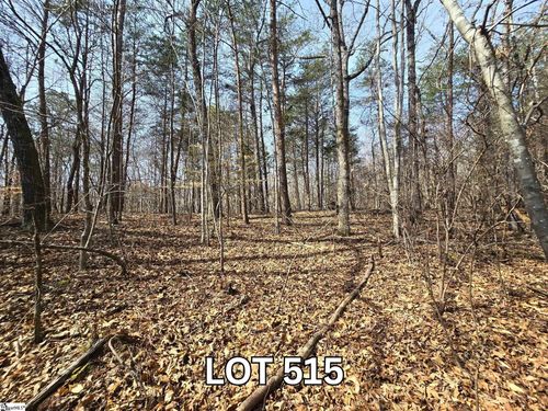 Lot 515 Point Road, Westminster, SC, 29693 | Card Image