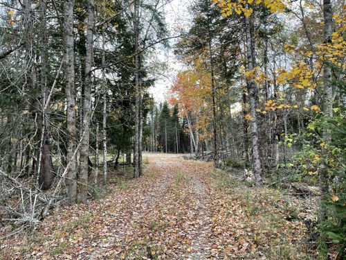 3306 Mariaville Road, Mariaville, ME, 04605 | Card Image