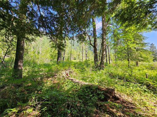 1 Conifer Ln, Noxon, MT, 59853-9004 | Card Image