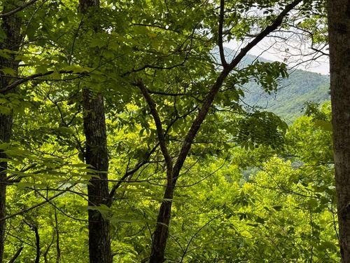 #6 Pounding Mill Overlook, Hayesville, NC, 28904 | Card Image