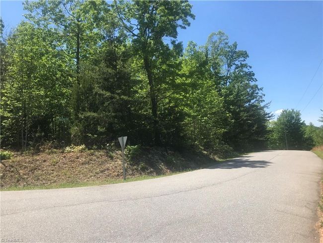 19 Rose Briar Rd, Home with 0 bedrooms, 0 bathrooms and null parking in Boomer NC | Image 29