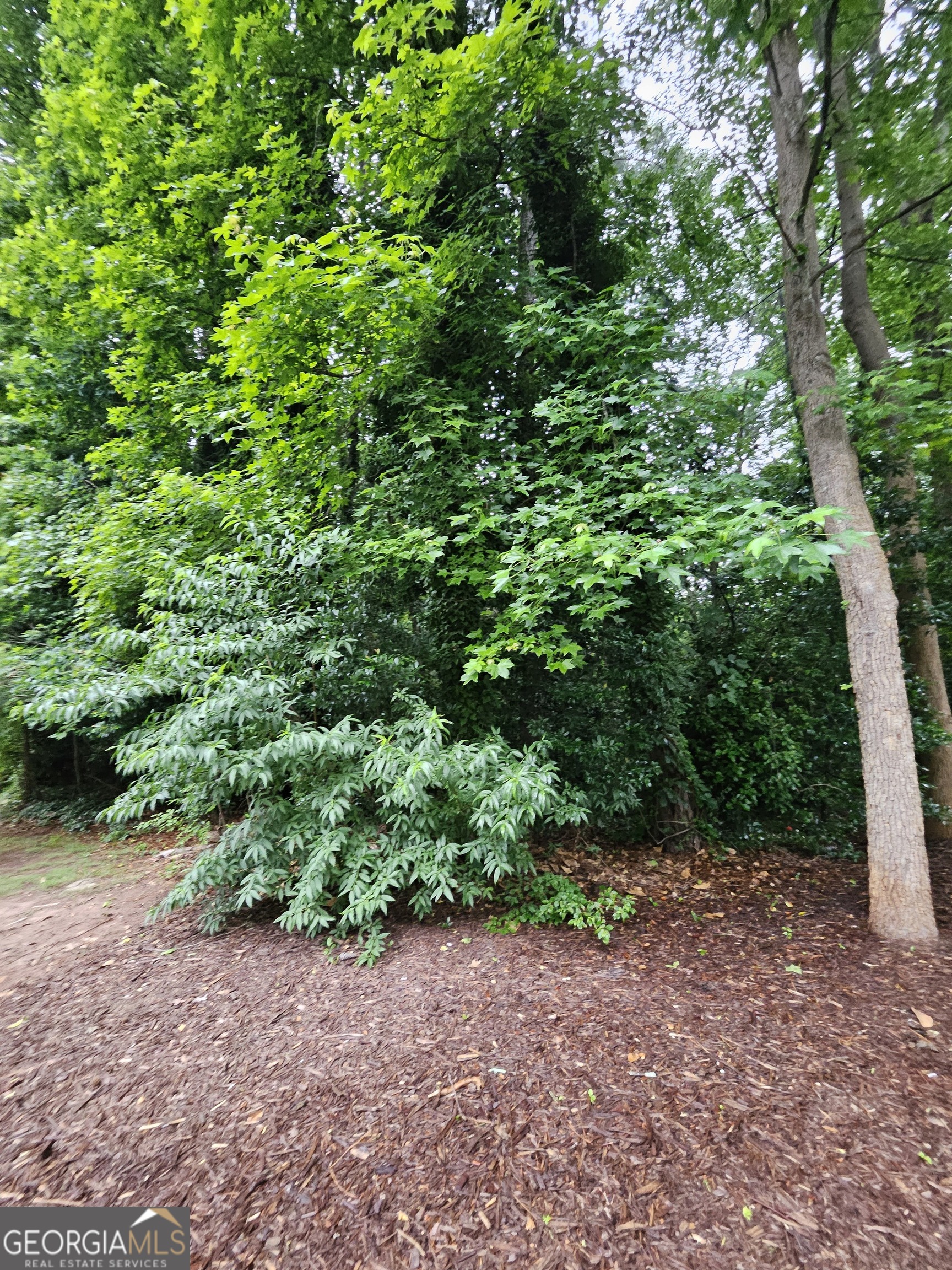 Land in Decatur 2