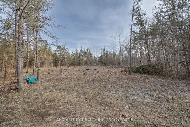 PT 11 Meach Rd, Home with 0 bedrooms, 0 bathrooms and null parking in Greater Napanee ON | Image 4