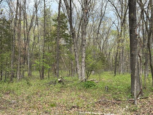 2 Joanna Dr, Perry, MO, 63462 | Card Image