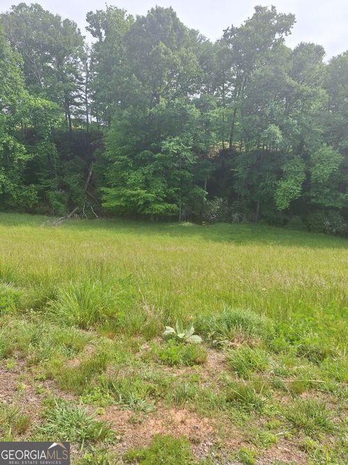 LOT 67 Hillside Court, Morganton, GA, 30560 | Card Image