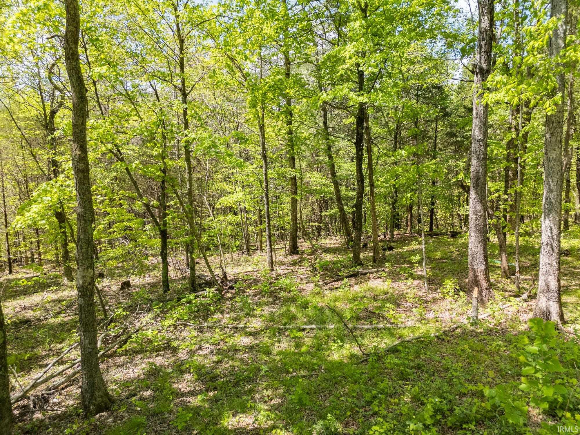 Land in Hardinsburg 5