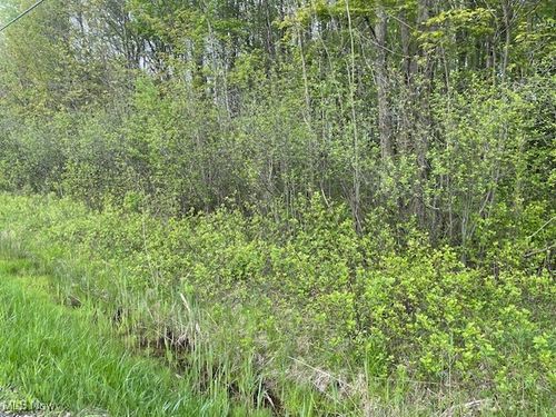 TBD Brockway Road, Leroy, OH, 44077 | Card Image