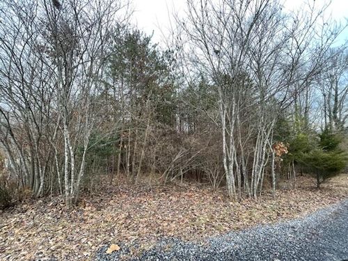 Lot 49 Overlook Cir, Moneta, VA, 24121-2348 | Card Image
