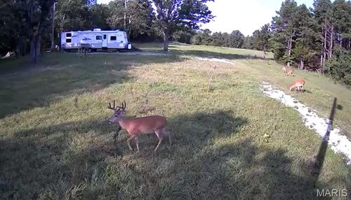 0 County Road 2590, Edgar Springs, MO, 65462 | Card Image