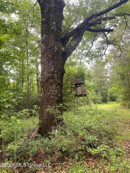 48-Tbd 48 Ne S Of St, Gloster, MS, 39638 | Card Image