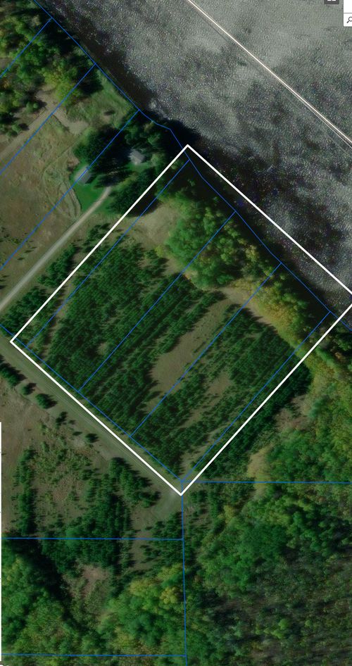 TBD Town Road 389, Baudette, MN, 56623 | Card Image