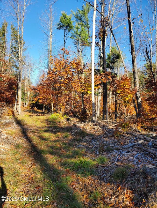 3 Drager Rd, Home with 0 bedrooms, 0 bathrooms and null parking in Galway NY | Image 5