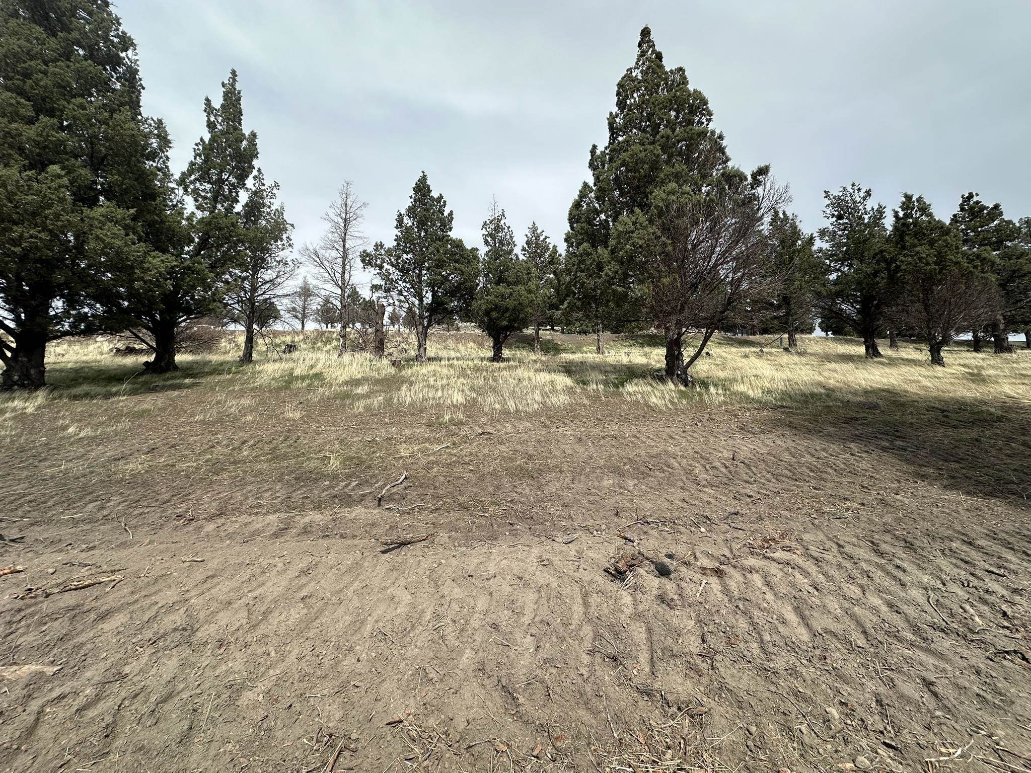 Land in Weed 5