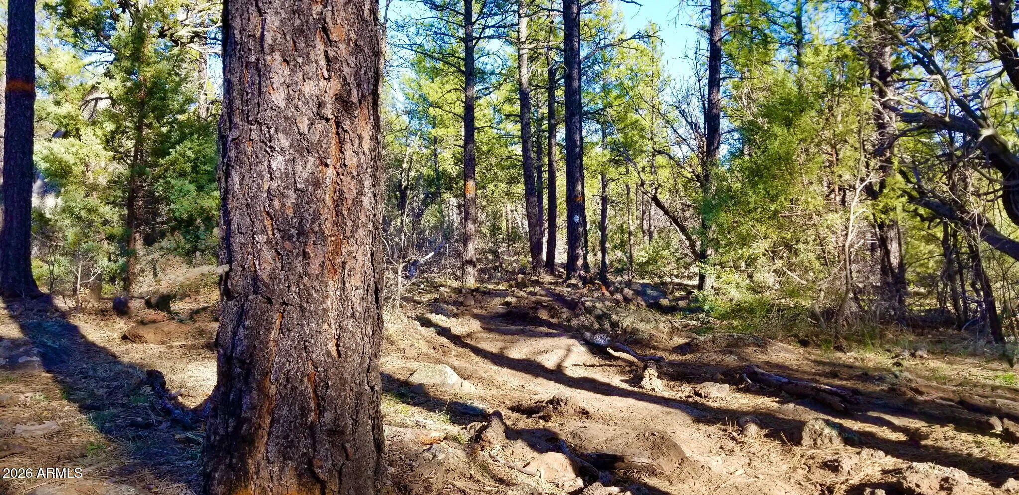 Land in Lakeside 3