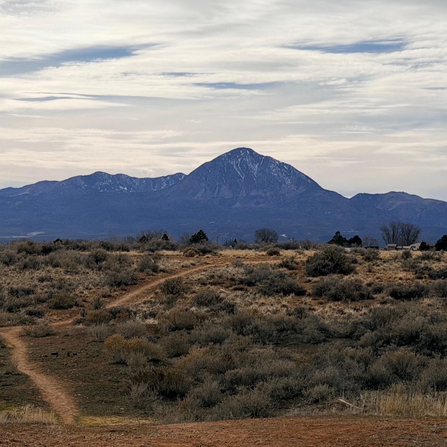 Land in Cortez 5