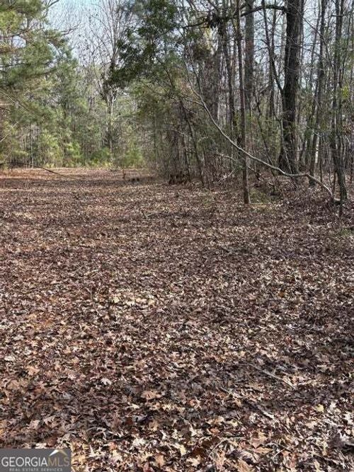 LOT 15 Indian Cir, Lincolnton, GA, 30817-3806 | Card Image