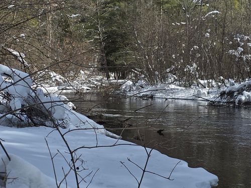 8683 W Peterson Road, Irons, MI, 49644 | Card Image