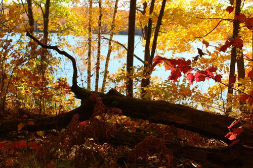 30 N Deer Lake Rd, EXELAND, WI, 54835 | Card Image