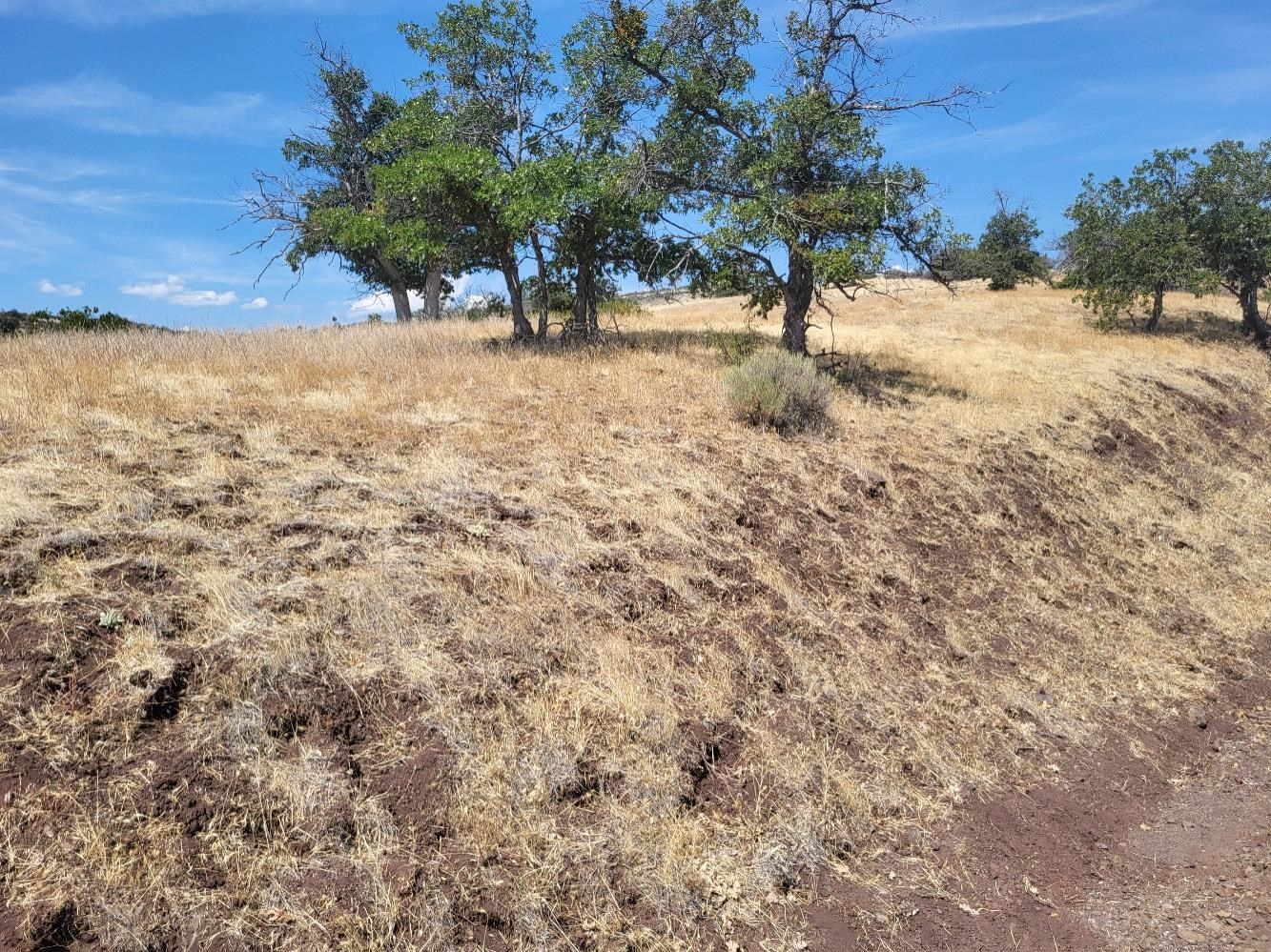Land in Hornbrook 2