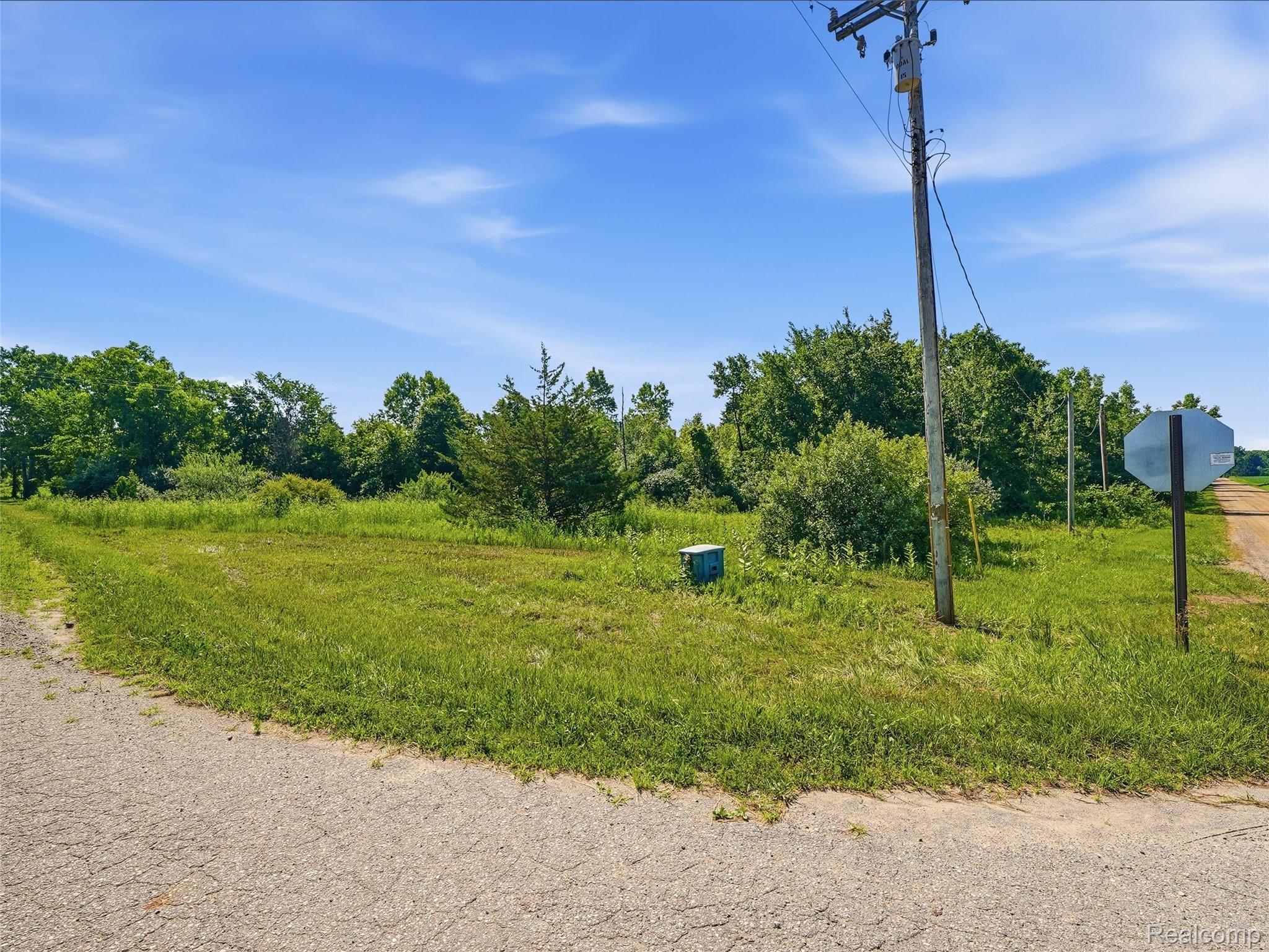 Land in Attica Township 4