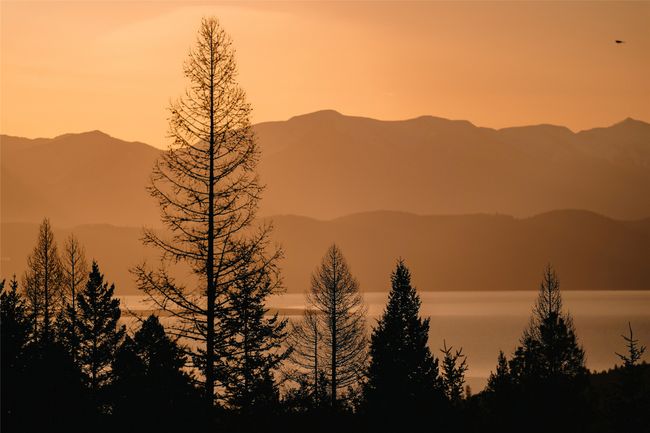 Welcome to 605 Cramer Creek Rd, Somers Mt. Humming Bird Hollow Farmstead sits above Flathead Lake on 15.6 acres. | Image 7