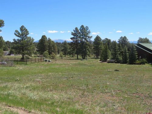 980 Trails Blvd, Pagosa Springs, CO, 81147 | Card Image