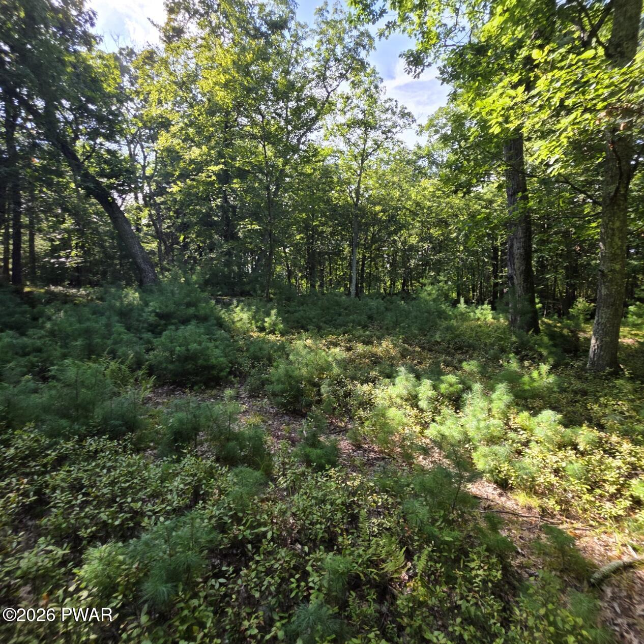 Land in Dingmans Ferry 5