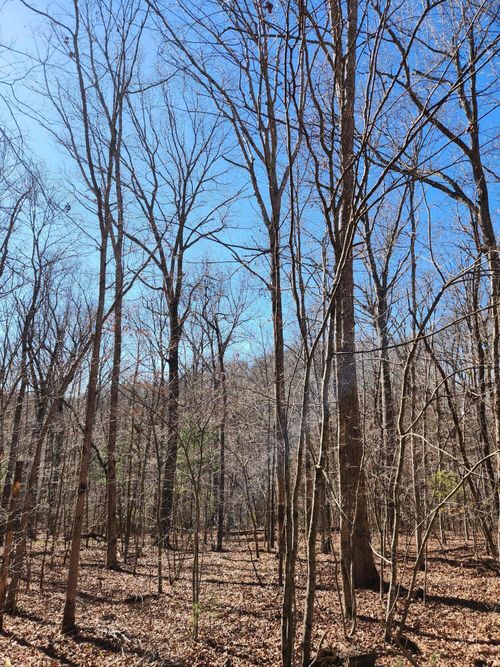 20 Devon Loop, Crossville, TN, 38558-8892 | Card Image