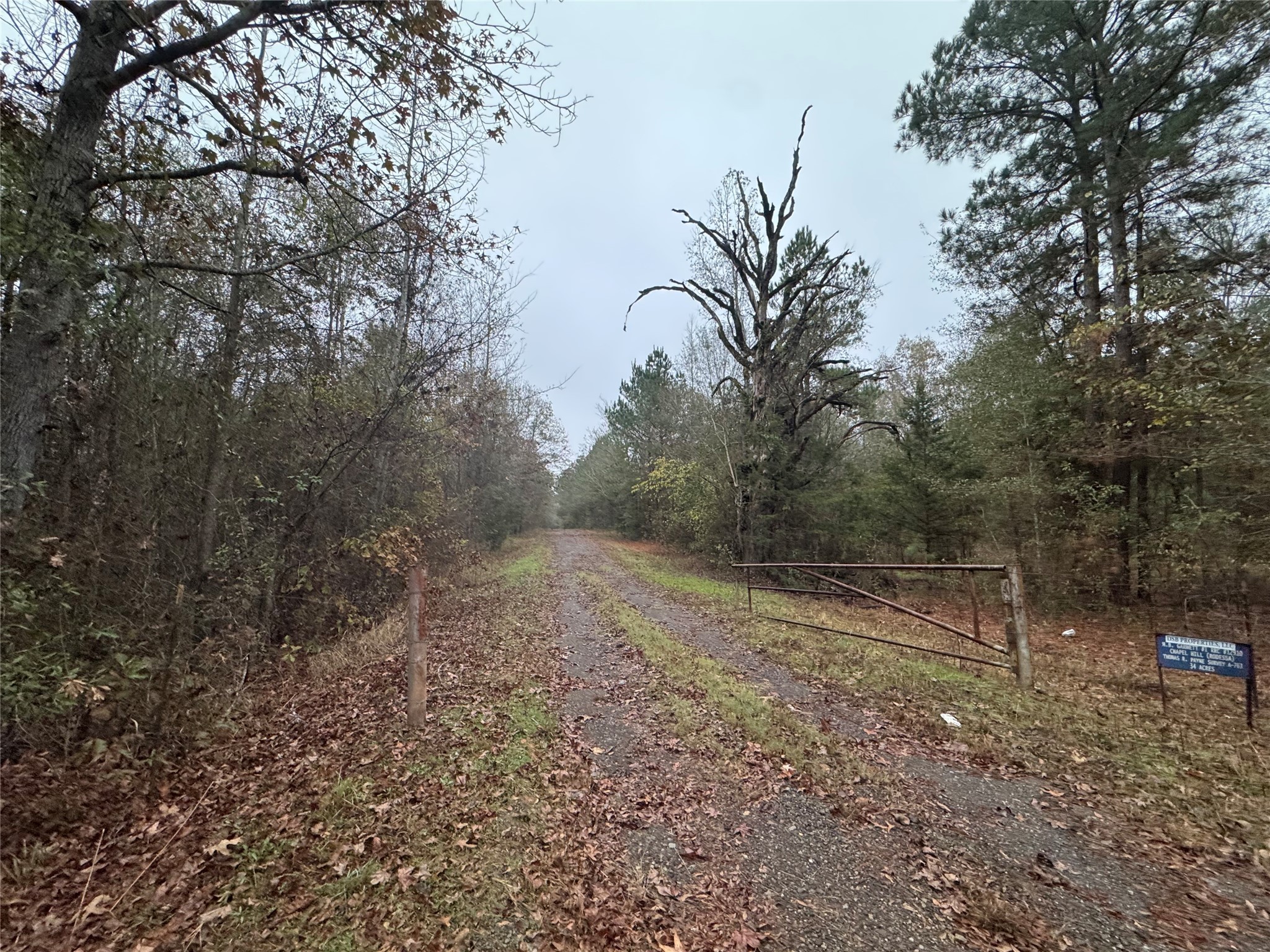 Land in Tyler