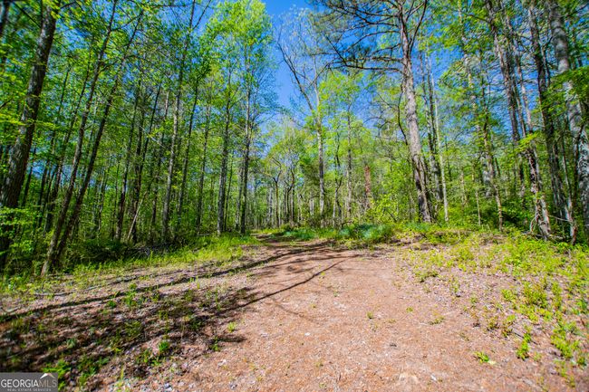 1975 Whooping Creek Rd, Home with 0 bedrooms, 0 bathrooms and null parking in Carrollton GA | Image 12