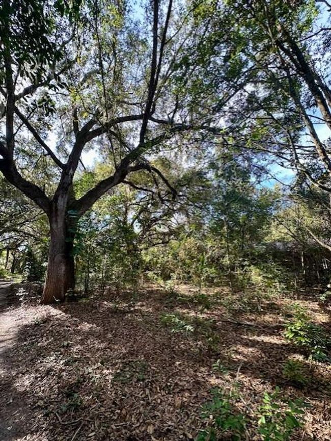 1918 Mountain Lake Cutoff Rd, House other with 6 bedrooms, 4 bathrooms and null parking in LAKE WALES FL | Image 36