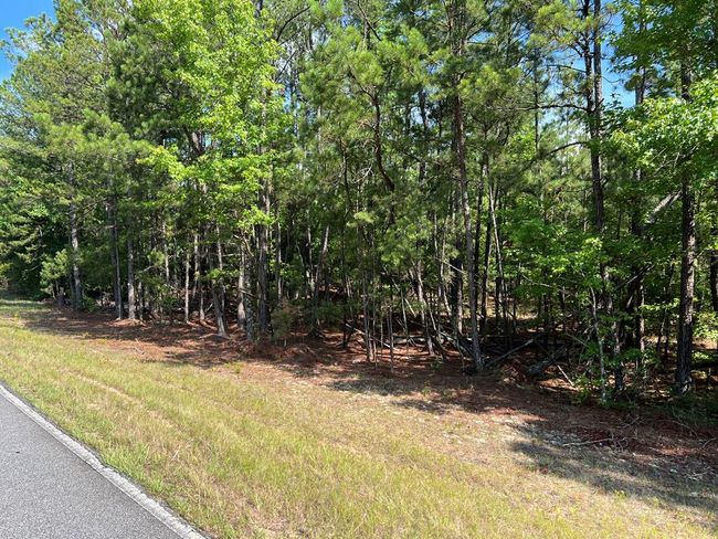 00 Ethridge Rd, Home with 0 bedrooms, 0 bathrooms and null parking in Haddock GA | Image 4