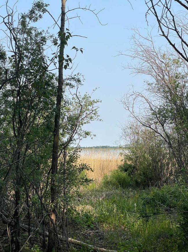 Lot 9 Block 3 Summerhaven, Home with 0 bedrooms, 0 bathrooms and null parking in Rural Wetaskiwin No. 10, County Of AB | Image 10